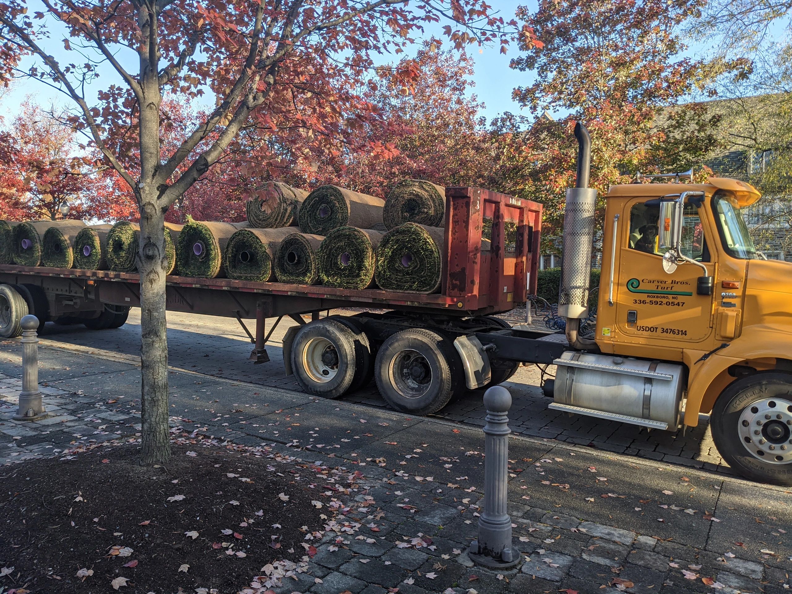 Wholesale sod pallets at Carver Brothers Turf